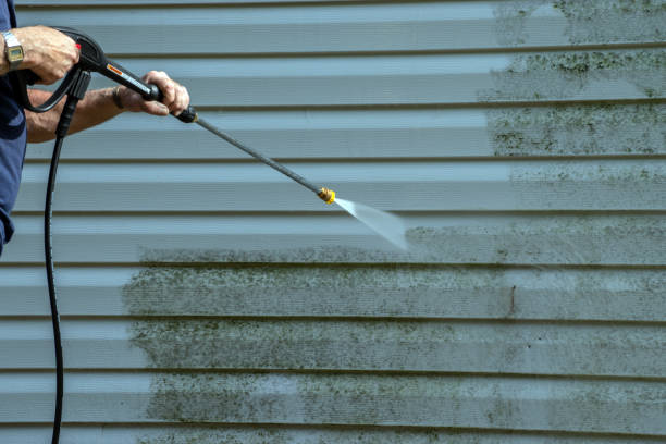 Best Driveway Pressure Washing  in Brockport, NY