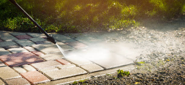 Best Fleet Vehicle Washing  in Brockport, NY