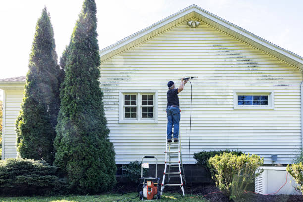 Best Fence Cleaning  in Brockport, NY